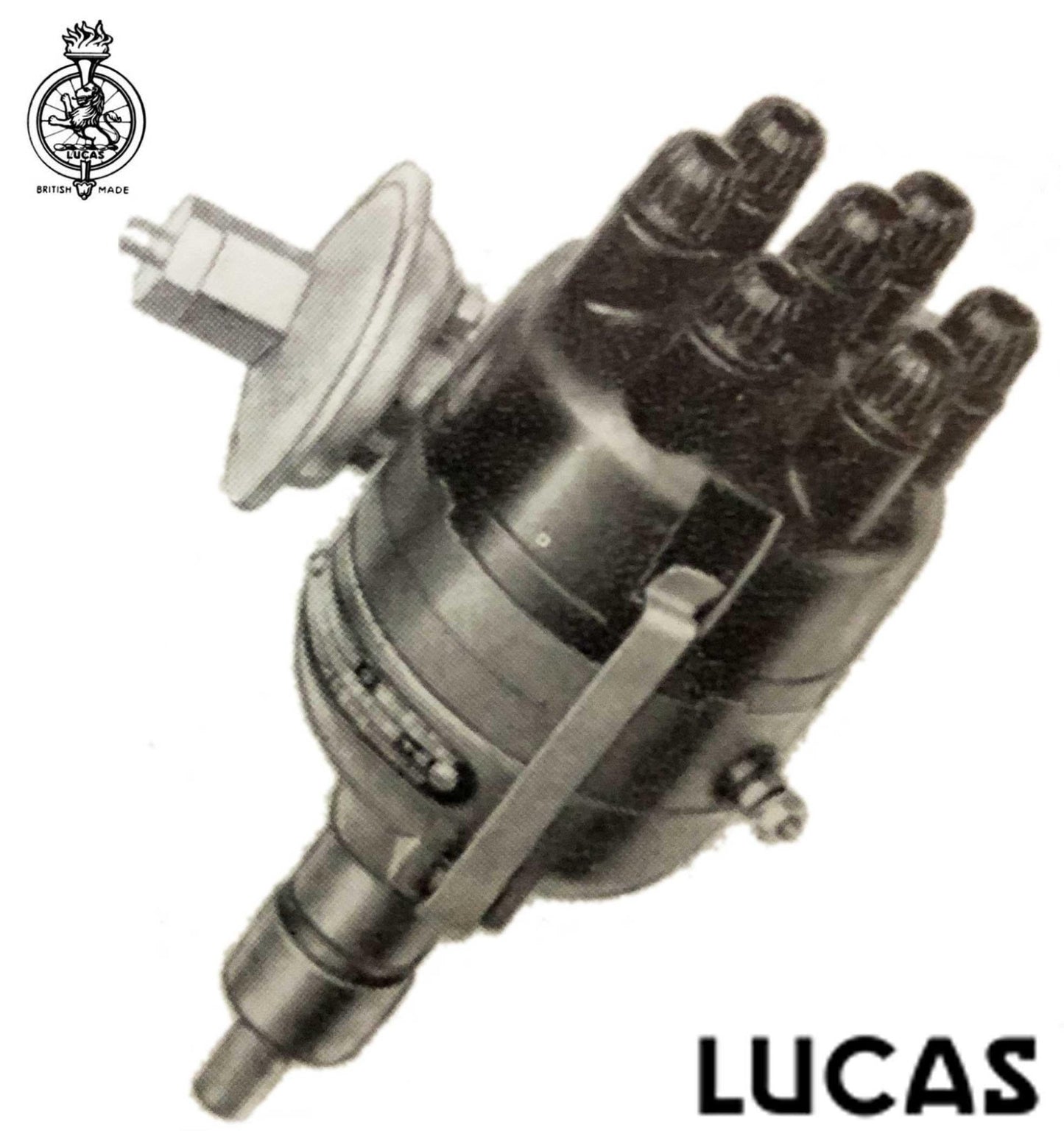 Lucas Distributor DVX6A Parts & Information - Vroom Classics