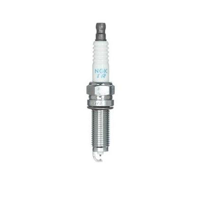 DILZKR7B11GS-1.jpg