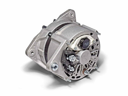 RAC698.jpg