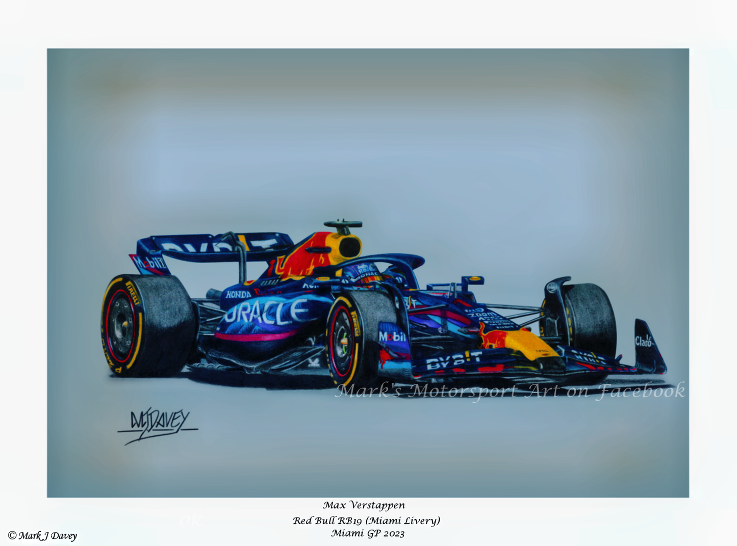 Max Verstappen in the Record-Breaking Red Bull Racing RB19 - Limited Edition Giclee Print