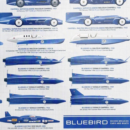 Bluebird 1000 Piece Jigsaw - Vroom Classics